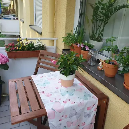 Apartment Stadtwohnung Im Grünen&nähe Zum Kölner Zoo *